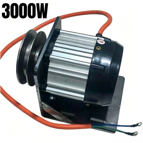 3000w brushless permanent - ,