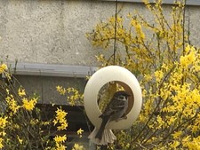 Special Gift Idea - Genuine