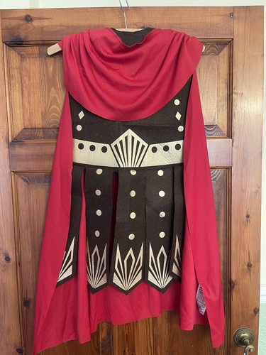 Roman gladiator tunic - roman,