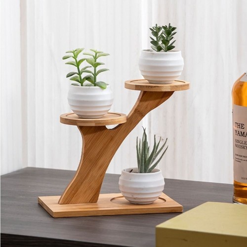 Desktop plant stand pots - plant,