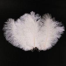 50Pc/pack Large Ostrich