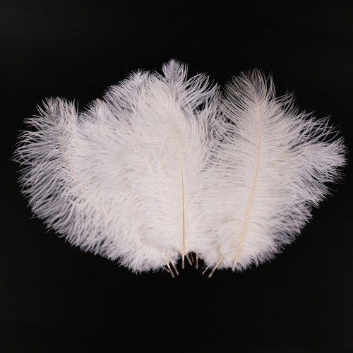 50pc pack large ostrich - 50pc/pack,