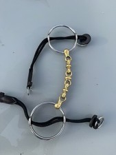 Neue Schule Waterford