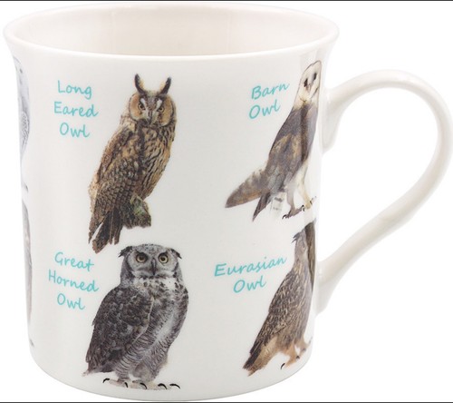 Leonardo collection mugs owl - mugs,