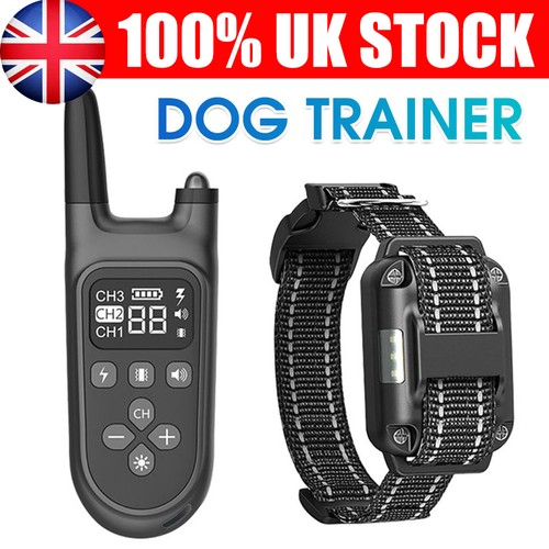 800m electric pet dog training - electric,