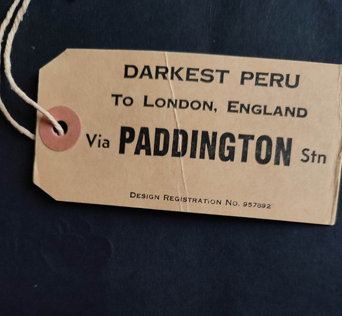 Paddington bear luggage - paddington,