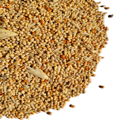 Budgie seed 350g 1kg 2 - budgie, 1kg,