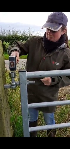 Gatelock field gate farm - x2, gate,
