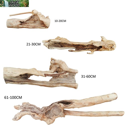 Java wood deco naturalis - java,