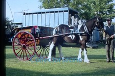 35mm Slide 1980's horse & Trap