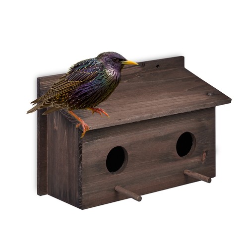 Nesting box bird - box,