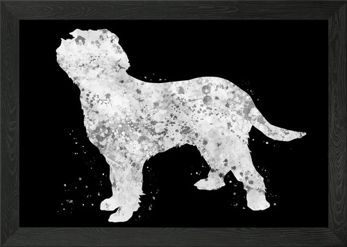 Italian spinone dog framed - italian,