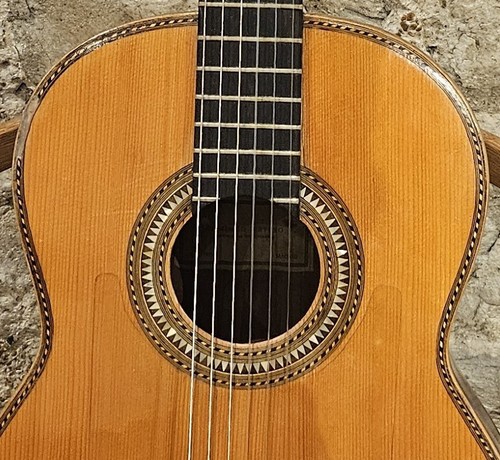 Flameco guitar telesforo - guitar,