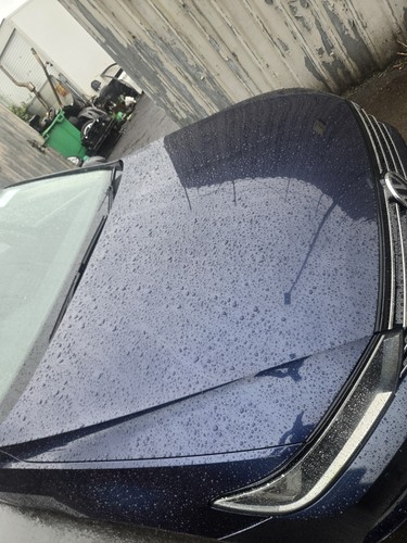 Passat bonnet hood - passat,