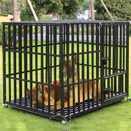 Super high dog cage - dog, xxl-pet