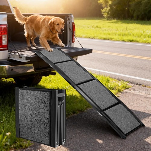 Extra long 170cm dog - extra, ramp