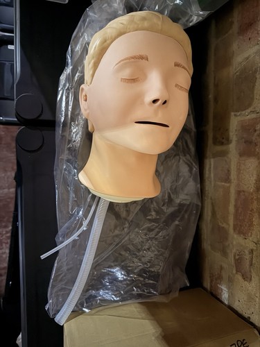 Resusci anne complete head - resusci,