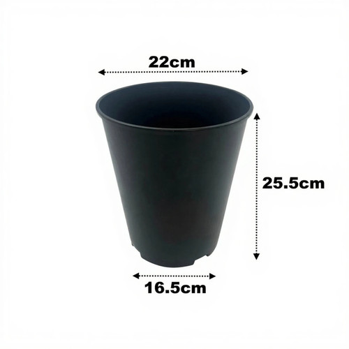 Litre deep rose plant - 7, pots