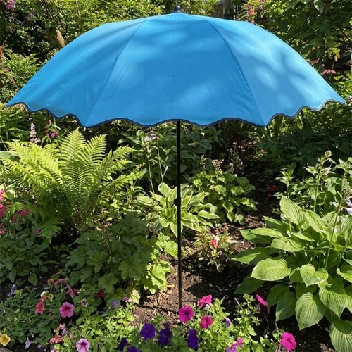 Plant shade umbrella - plant,