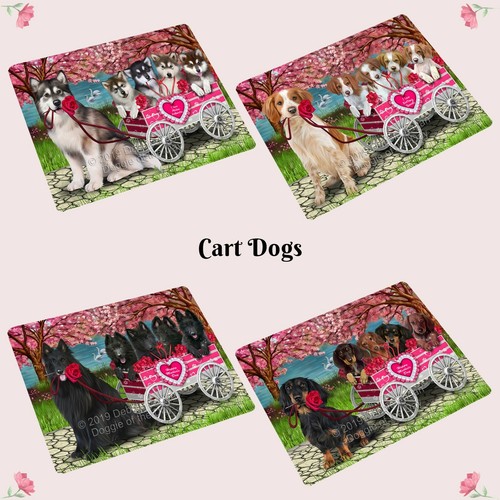 Love dog cat - dog,