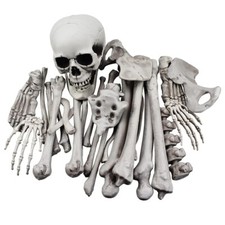 28 Pieces Skeleton Bones and Skull Halloween Spooky Graveyard Ground Decoration 