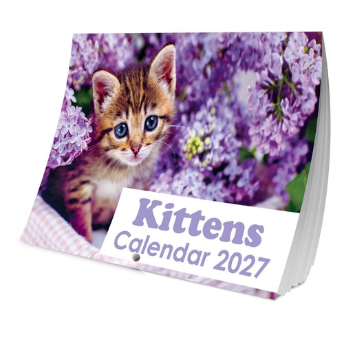 2027 kittens cats calendar - 2027,