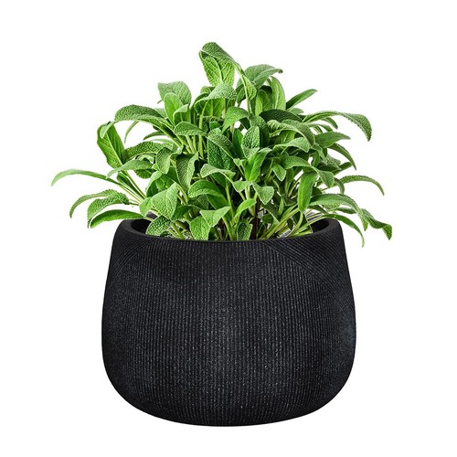 Fibre clay plant pots - plant, 29cm