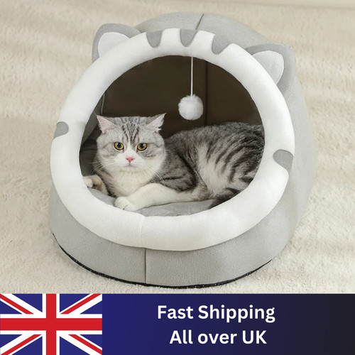 Pet dog cat bed - dog,
