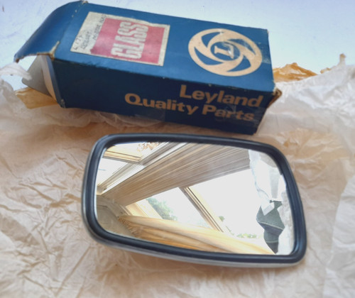 Rover winguard door mirror - rover,