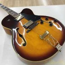 Vantage Full Hollow Body