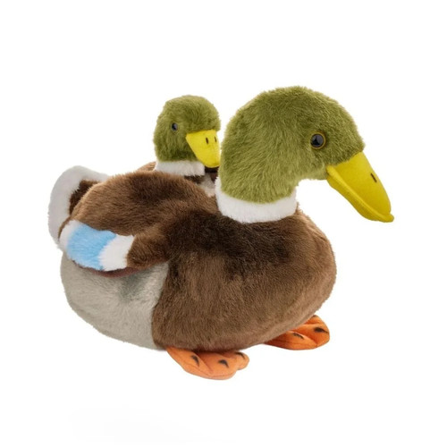 Mallard duck with duckling - mallard,
