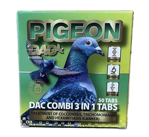 Racing pigeon - racing,