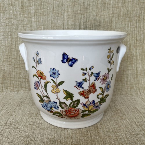 Aynsley cottage garden plant - garden,