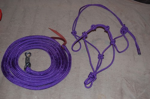 Stiff knot halter lead - halter,,