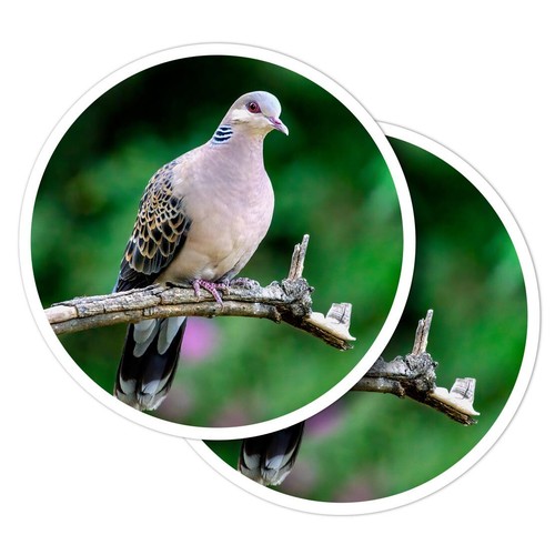 Vinyl stickers pretty - vinyl,