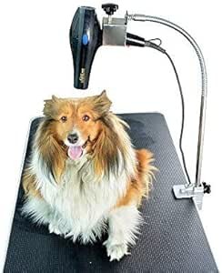 Gravitis pet supplies - pet,