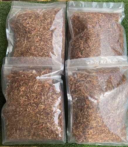 Oron crayfish 600g whole - oron,
