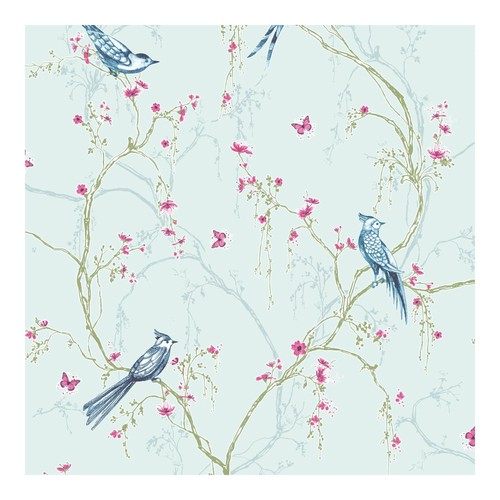 Superfresco easy songbird - superfresco,