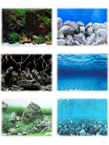 Aquarium fish tank vivarium - aquarium,
