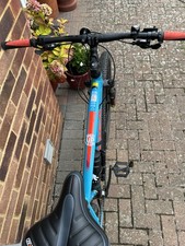 mountain bike hardtail large