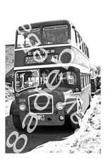 Bus Photograph SOUTHERN