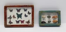 NEW Dolls House Miniatures Butterfly & Shell Collection 1/12th Scale FREE P&P