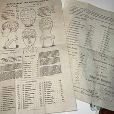 London School Phrenology Illus
