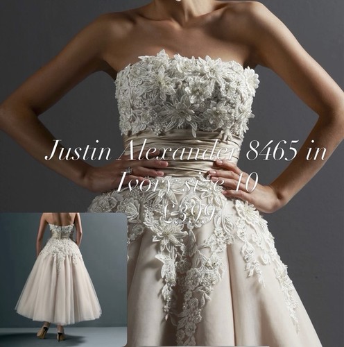 Justin alexander 8465 - alexander, ivory