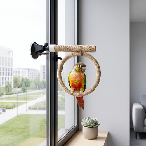 Suction cup bird toy - suction, swing
