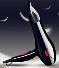 2200W Professional Style Hair