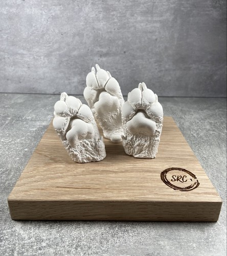 Paw casting kit - paw, perfect