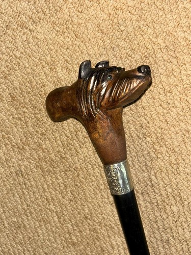 Victorian walking stick cane - cane,