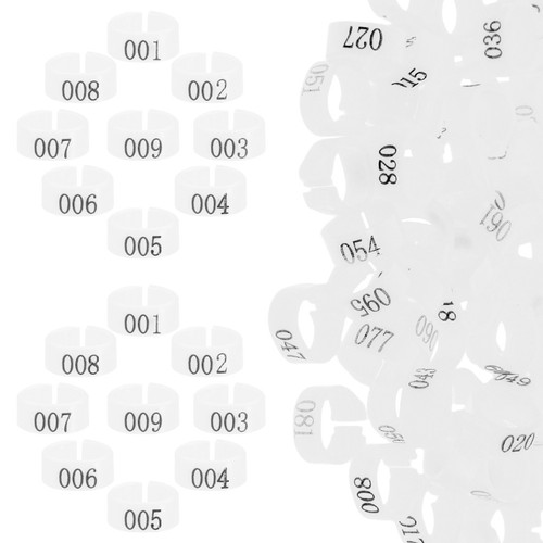 100 pcs pigeon - 100,