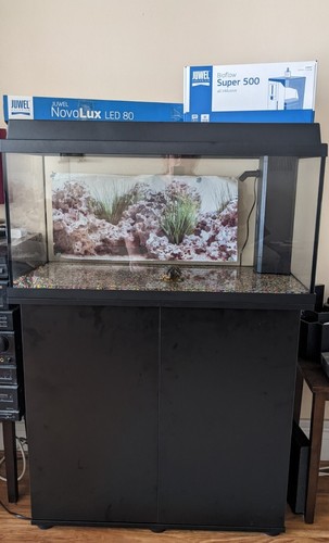 Brand new fish - fish, &